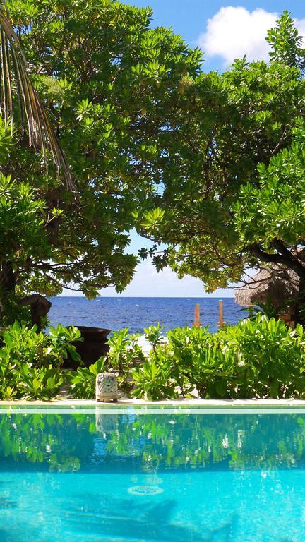 Green Lodge Moorea Temae Exterior foto